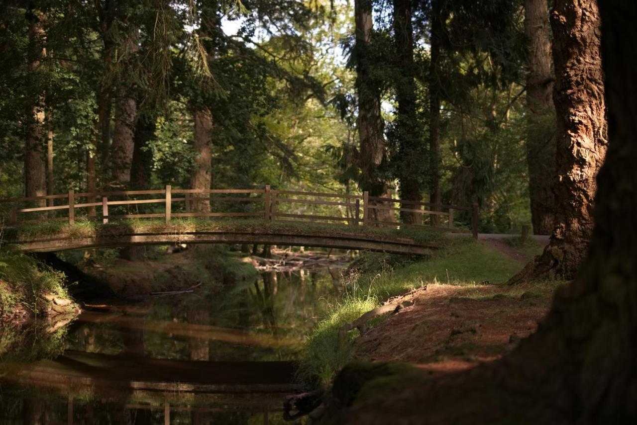 The Cloud Brockenhurst Bagian luar foto